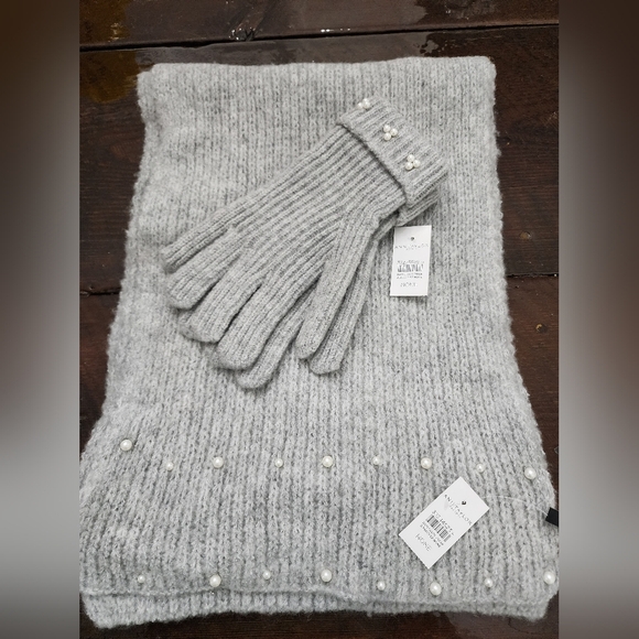 Ann Taylor Accessories - 👸🧣🧤 NWT Ann Taylor Scarf & Glove Set